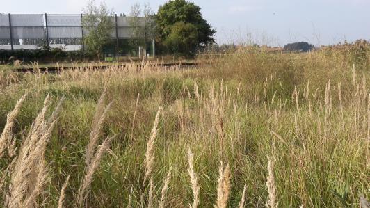 Landschappelijk gezien is het gebied gelegen in de Vlaamse Vallei, ten