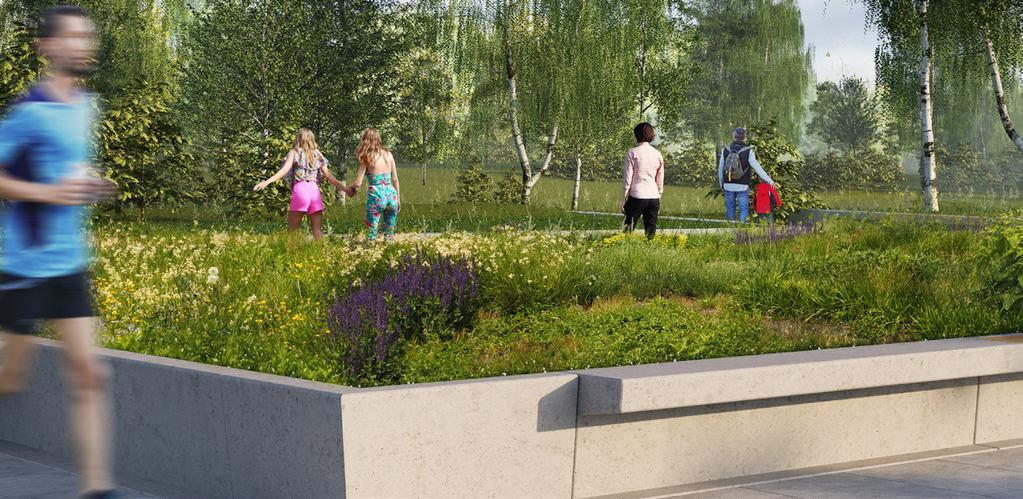 De openbare ruimte groener met Greenline. De serie Greenline is een nieuwe reeks ranke betonranden die dienst kunnen doen als bloembakband, parkband of zitrand.
