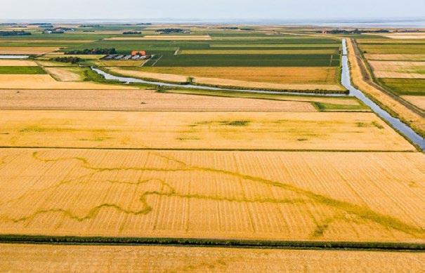 Extreem warm én extreem droog De afgelopen zomer was niet alleen ongekend warm, maar ook uitzonderlijk droog. Het is eigenlijk nog steeds te droog, en het is al november!