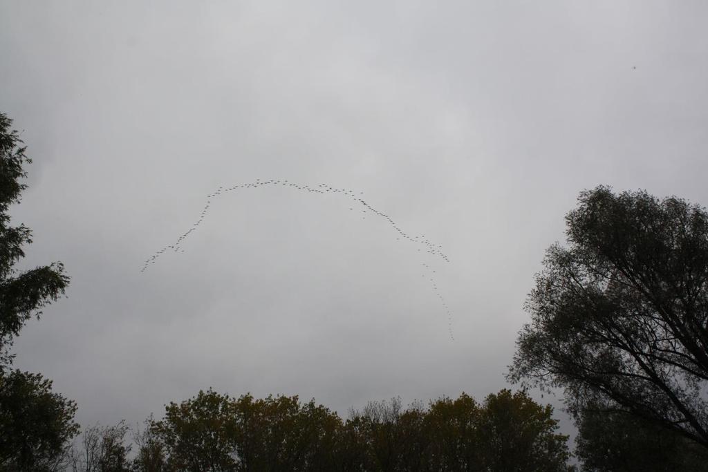 Plots zagen we hoog in de lucht een