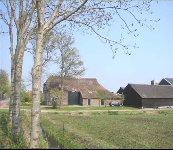 De boerderijen in Wanneperveen zijn naar verhouding groter. Er komen verschillend geplaatste baanderdeuren voor; in het gevelvlak, terugliggend en met steekkap.