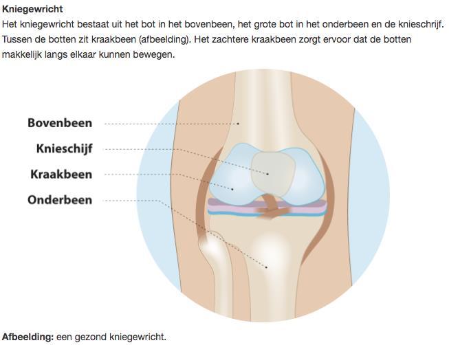 Stel, u komt bij de orthopeed voor uw