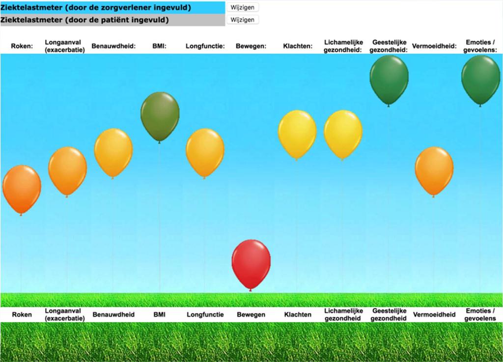 Hoe de tool te gebruiken Roken Longaanval Benauwdheid BMI Longfunctie Beweeggedrag Symptomen Funct. status Ment.