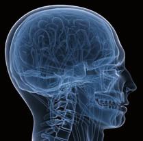 Het is belangrijk dat u verslechtering op MS gebied en nieuwe symptomen direct meldt bij uw neuroloog.