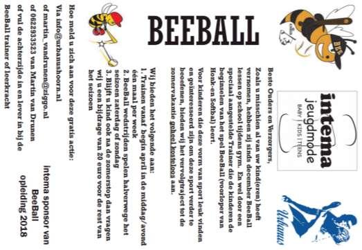 Beeball-lessen Deze flyers
