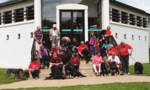 Lid worden De Vereniging Portugese Rashonden Nederland wil de bekendheid van Portugese hondenrassen in Nederland bevorderen, zorgen voor instandhouding van gezonde rassen en deze promoten.