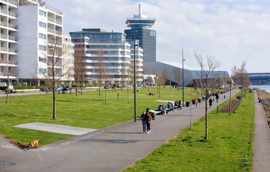Het park langs de noordelijke IJ-oever, als onderdeel van gebiedsontwikkeling, is nieuwe openbare ruimte waar alle Amsterdammers van profiteren.