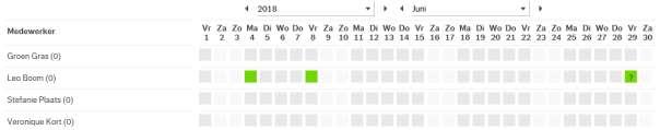 » Alvorens de aanvraag goed- of af te keuren, kunt u de bezetting van de organisatie/afdeling bekijken door naast de kalender op Verlof- en verzuimoverzicht te klikken.