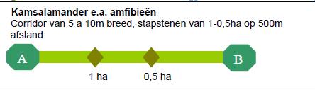 Onderhoudpad en oever Flauw e oever w ater en w aterbodem Plas dras Grasland, struw eel, houtige structuren Stapsteen met poelen en moerasvegetatie Opmerkingen Inrichting en beheer Ree Leefgebied/