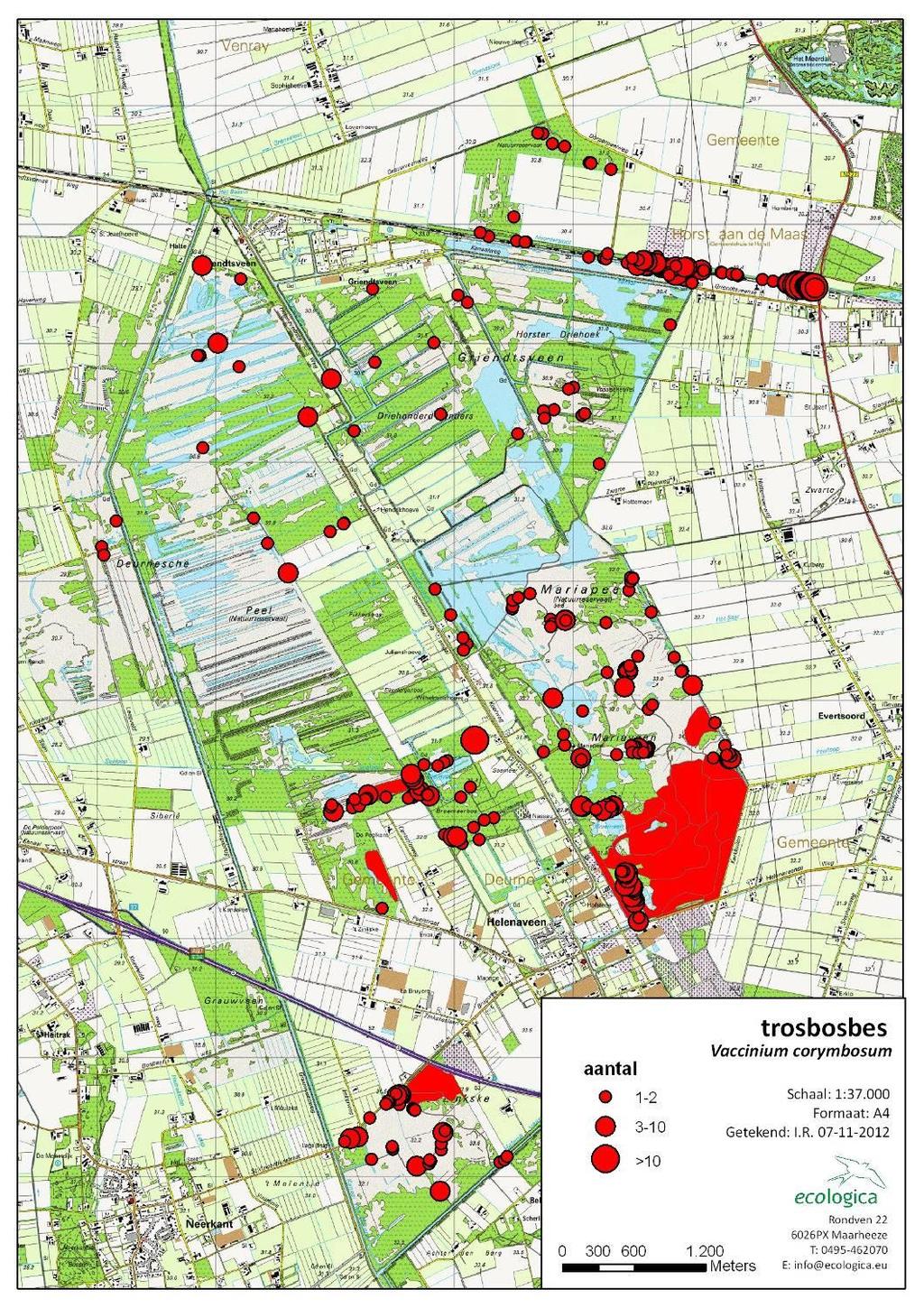 Verspreiding Trosbosbes Mariapeel & Deurnsche Peel 20