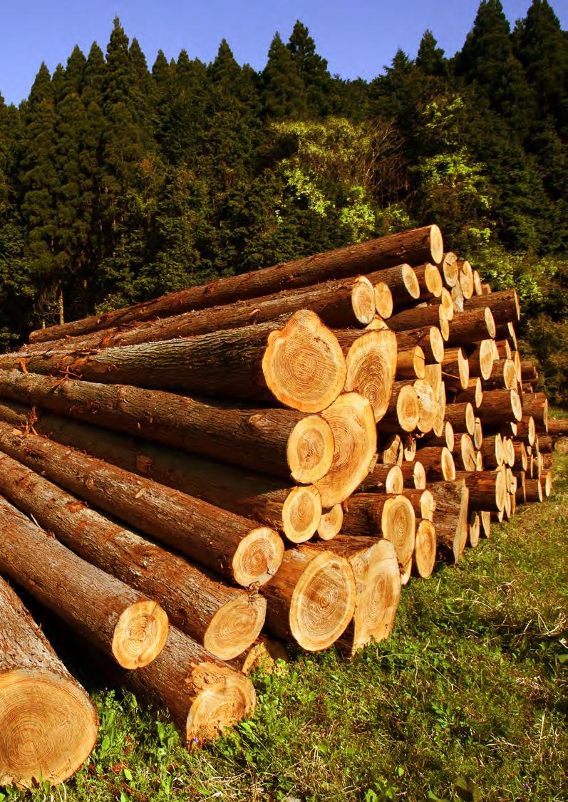 V4 Behandelen van scheuren in houtwerk Scheuren 1 Verfsysteem rondom de beschadiging verwijderen. 2 Controleren op te hoog houtvochtgehalte.