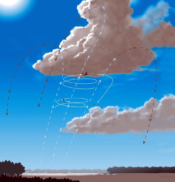 7.3 Vluchtplanning Tijdens de wintermaanden, als de cumuluswolken zich weken achter elkaar niet laten zien, zal menige zweefvlieger verlangend uitkijken naar het voorjaar met heldere blauwe luchten
