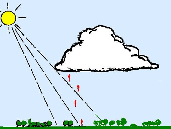 Tussen zon en windzijde zit meestal het stijgen. Wanneer je in een wolk nog iets van een driehoek kunt ontdekken, een brede basis en de punt omhoog, dan is het de moeite waard om er heen te vliegen.