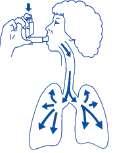 Indien de inhalator voor de eerste maal wordt gebruikt dient u de eerste vier pufjes in de lucht te sprayen vóórdat u uw dosis gebruikt.