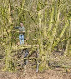 10 Avonturenspeelbos Ravottia Avontuurlijk buiten spelen Berend Botje Speel-o-theek speeluitleen 11 Het Avonturenspeelbos is een gemeentelijke voorziening waar kinderen van alle leeftijden heerlijk