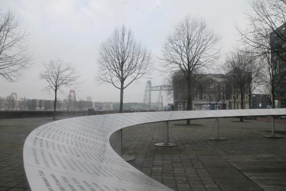 Vlakbij de plek waar de Maas stroomt, in de directe nabijheid van de Erasmusbrug aan de Stieltjesstraat staat de boom die alles heeft gezien.