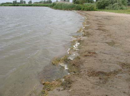 Er is nauwelijks parkeergelegenheid. Aan het strand staat een keet van de surfvereniging. Ondanks een goede wind waren er tijdens het veldbezoek d.d. 10 augustus 2006 geen surfers aanwezig.