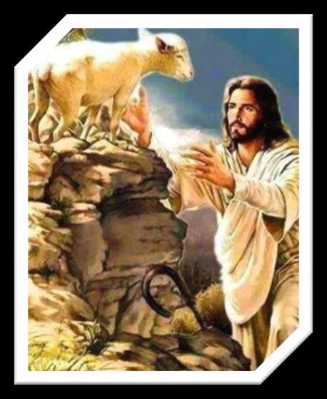 We zijn ingenieuze en bange schapen die door Jezus worden geleid.