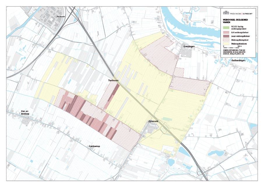 11. Vianen In Vianen broeden in twee gescheiden gebieden 14 paar grutto s, wat overeen komt met een dichtheid van 6,1.