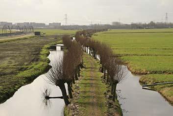 De stedenband tussen water, weg en spoor De rivier heeft de basis gelegd voor het ontstaan van de stedenband.