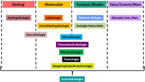 Studieadviespaden De Bachelor Biologie kent momenteel 13 studieadviespaden.