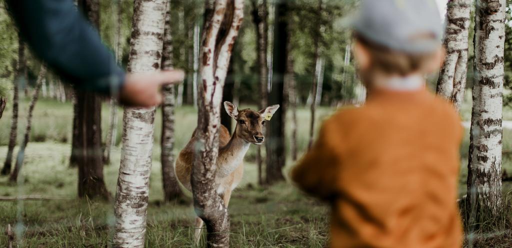 PLEEGOUDERS Pleegouders zijn mensen die zorgen voor het kind van een ander. Een pleegouder is minimaal 21 jaar.