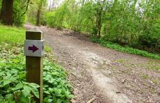 Vervolg route P10 Steek de Regge over, bij p10 rechtsaf. Volg pijl: paars tot na de tweede brug. Sla linksaf, rechts een boerensloot. Verderop wordt het wandelpad weer gemarkeerd (pijl: paars).