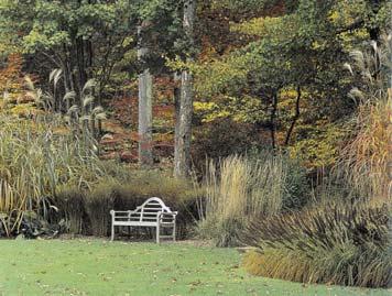 E R P De bostuin kenmerkt zich door terughoudend kleurgebruik. In de herfst is van deze terughoudendheid weinig te merken.