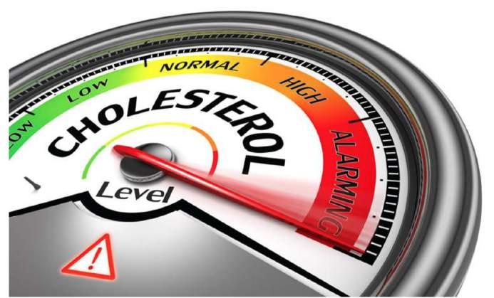 Verhoogd cholesterol ook mede veroorzaakt door darmflora Host Genone Ons DNA Bloed vetten