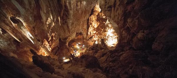 Résidence La Cigale ligt zeer rustig in de bossen, maar is zeker niet geïsoleerd van de buitenwereld. De grotten van Aven d Orgnac liggen zo n beetje in de achtertuin.