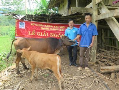 De werkwijze is als volgt: het lokale ADRA-team in Vietnam selecteerde de meest arme mensen die in aanmerking kwamen voor een kalf.