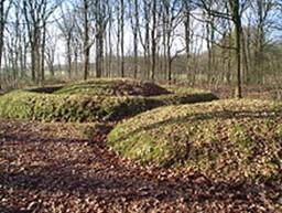 In het voorjaar van 2016 groef de Rijksdienst voor Cultureel Erfgoed in de grafheuvels bij Toterfout enkele proefsleuven.