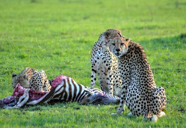 Kitengela, waarna je Amboseli bereikt en op tijd