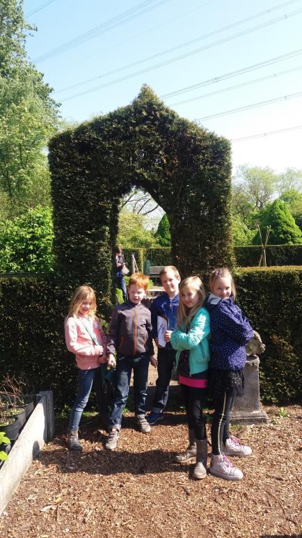 Groep 4/5 : Op excursie naar de Walburg tuinen.