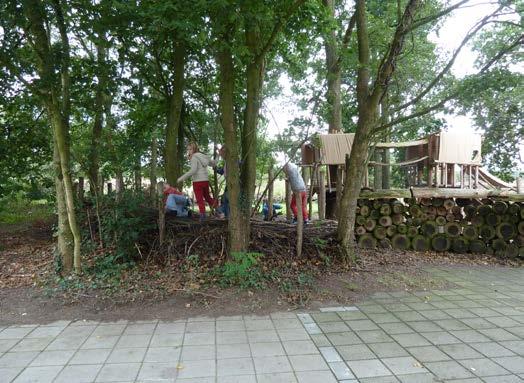 voorbereidingstijd 10 minuten Lestijd 30 minuten rekenen + natuur Bomen op het plein groep 1-2 LESDOEL De leerlingen tellen tot 10 of 20, vergelijken vormen, sorteren van klein naar groot en van kort