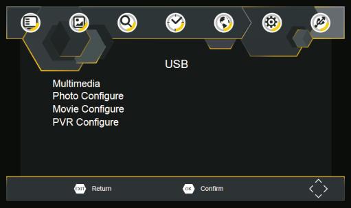 Eerste installatie USB Druk om toegang te krijgen tot het menu op de toets SETUP en selecteer