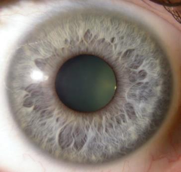 Enkele belangrijke begrippen Pupil van het oog Wordt maximaal in het donker 7 mm (minder naargelang je ouder wordt)