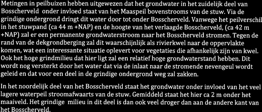 4.4 Grondwaterstanden Metingen in peilbuizen hebben uitgewezen dat het grondwater in het zuidelijk deel van Bosscherveld onder invloed staat van het Maaspeil bovenstrooms van de stuw.