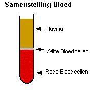 Bloedplaatjes Bloedplaatjes (trombocyten) zorgen dat bloed stolt. Ontstaat er ergens een beschadiging van een bloedvat, dan hechten de bloedplaatjes zich aan de bloedvatwand en aan elkaar.