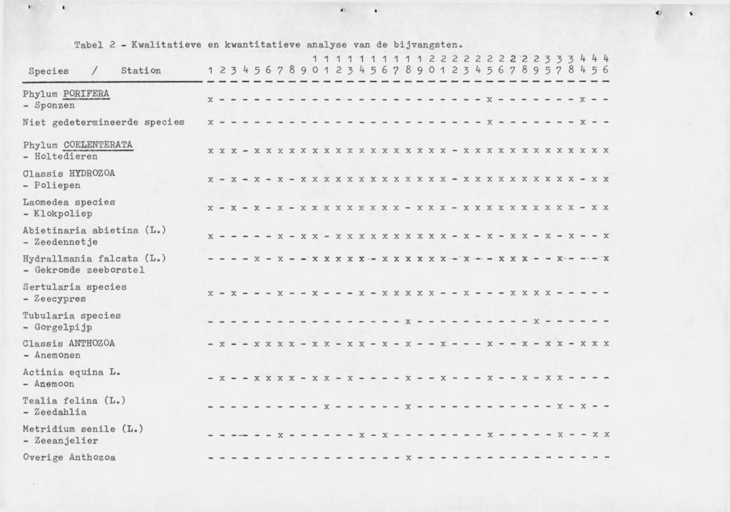 Tabel 2 - Kwalitatieve en kwantitatieve analyse van de bijvangsten.