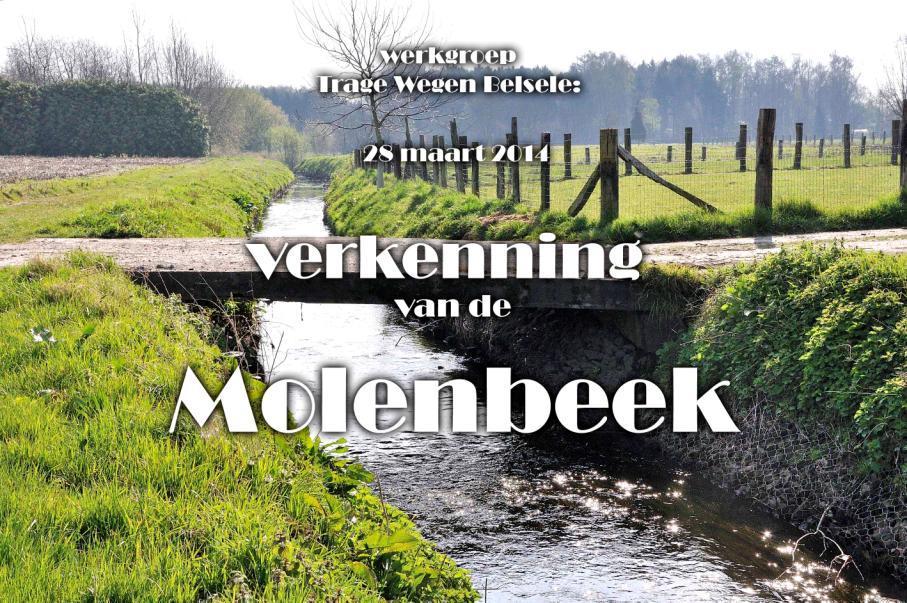 Inventarisatie beeklopen. De Molenbeek: Naar aanleiding van een openbaar onderzoek om een wandel-fietspad langsheen de Molenbeek (Kemzekestraat/Markstraat) aan te leggen.