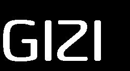 overzicht te geven van alle Gizi-activiteiten en de bijhorende ondersteuning vanuit Gezinssport Vlaanderen.