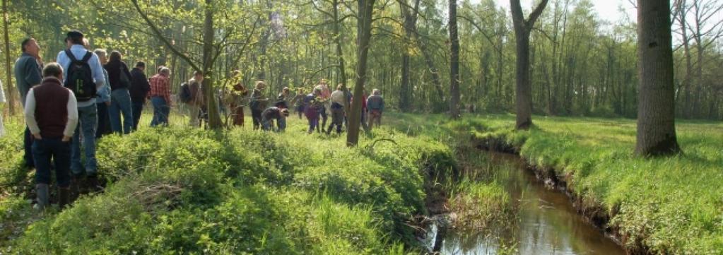 GEBEURT ER IETS? Pilootproject in 2011tussen VMM en waterschap Brabantse Delta, o.m. meten van de kwaliteit van het water en de natuurwaarden van waterlopen, bv.