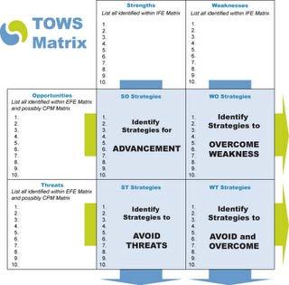 Appendix 25 The Tows matrix was used to formulated from the SWOT analysis the strategies to overcome and improve