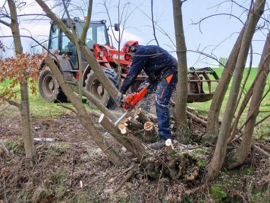 Kan het landschap in het