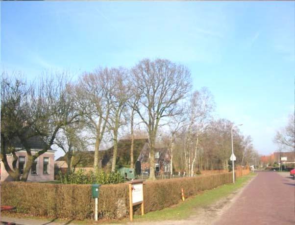 Detaillering De combinatie van rood gebakken of gesmoorde pannen op het voorhuis en riet op de schuur komt veelvuldig