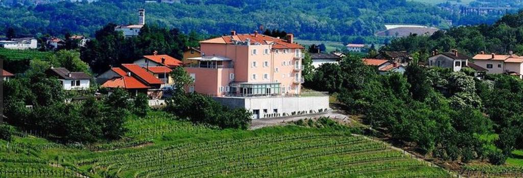 In de subregio Vipava worden goede wijnen gemaakt door Tilia (tiliapremiumwines.com), Sutor (sutor.