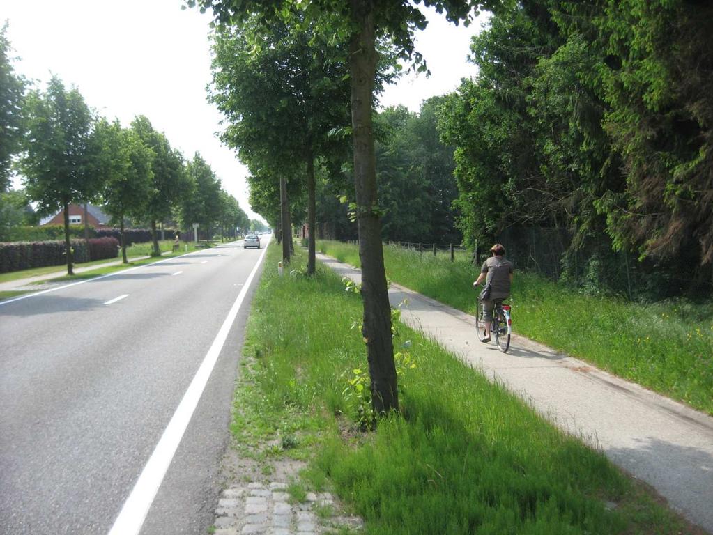 net > veilig fietspad achter bomenrij of berm