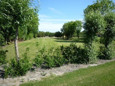 Door het toevoegen van de vakantiewoning vraagt de beplanting met name evenwijdig aan de Prelaatweg een wat dichter karakter om de woning zoveel mogelijk aan het zicht te ontrekken.