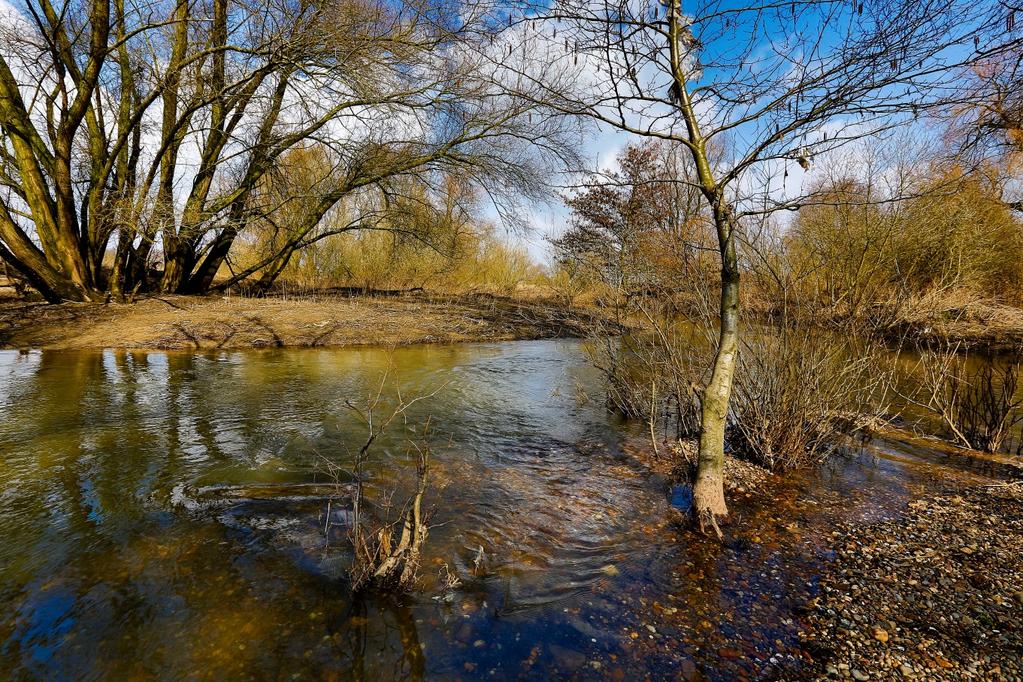 Herontwikkeling Lus van Linne 200 hectare